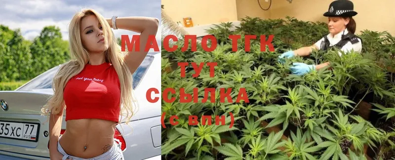 ссылка на мегу ССЫЛКА  Пудож  Дистиллят ТГК THC oil  где купить наркоту 